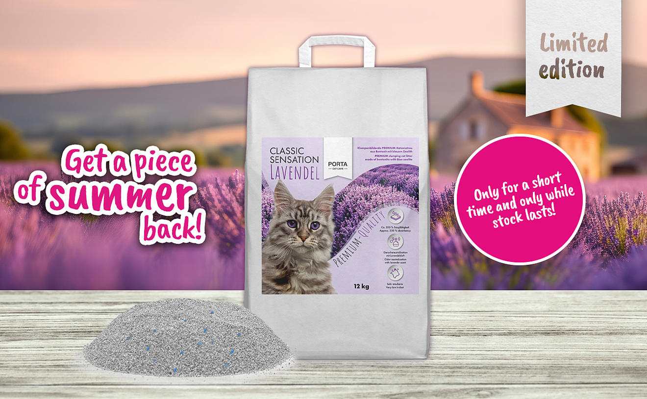 Classic Sensation cat litter with lavender scent - limited edition