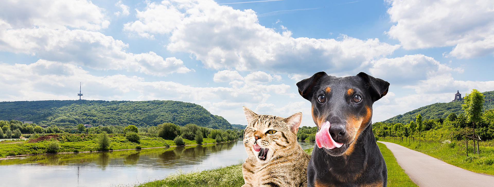Hund und Katze schlecken sich das Maul an der Weser in Porta Westfalica
