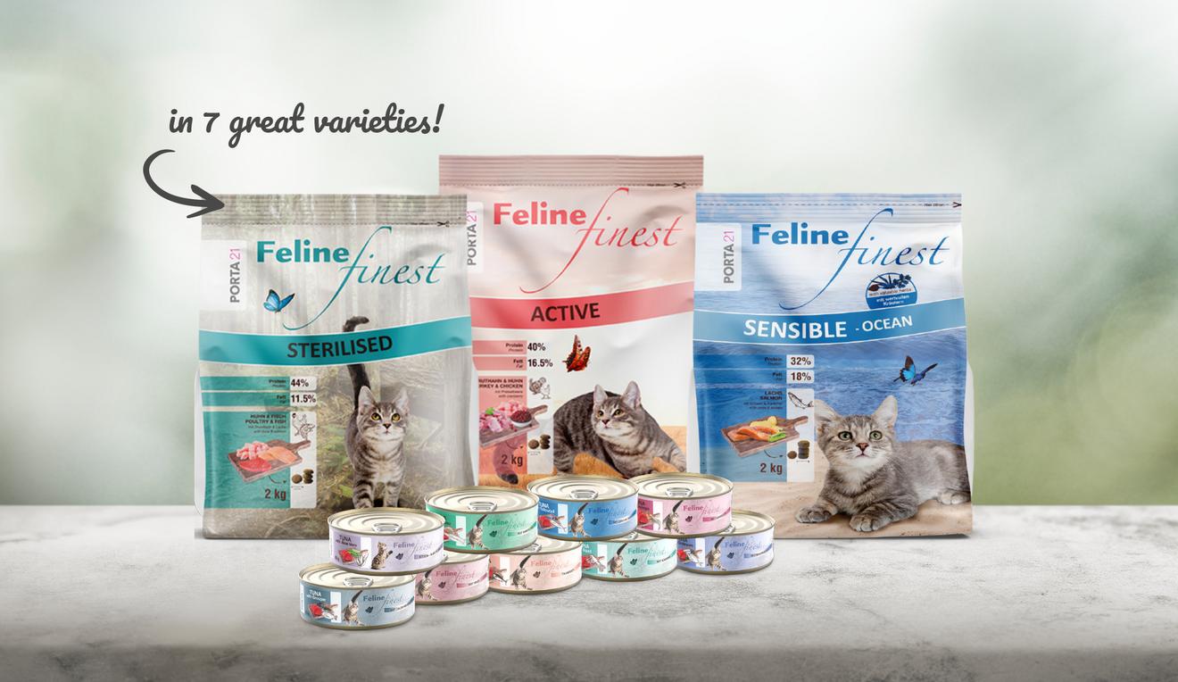 Feline Finest